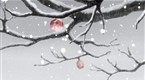 Mushi-shi: Pretense of Spring (season 1, episode 15)