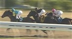 The Finish Line: Breeders' Cup 2008 Part 3 (season 1, episode 3)