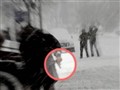 Video Sample