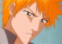 Bleach 109 picture