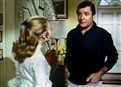 The Games Families Play picture