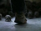 The Rats Watch the Full Movie!