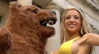 Barely Political: Bear Market!