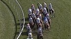 The Finish Line: Breeders' Cup 2008 Part 4