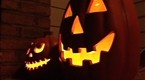 Onion News Network: Has Halloween Become Overcommercialized?