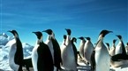 Antarctica