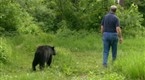 National Geographic Channel: A Man Among Bears