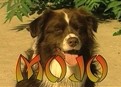 play video on Hulu