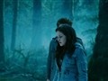 Twilight