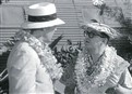 Fuji's Big Romance picture