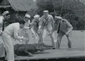 Will The Alligator Take The Stand? picture