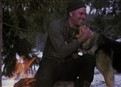Call Of The Wild picture