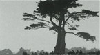 FiNS: Santa Cruz (season 1, episode 2)