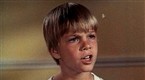 Nanny and the Professor: My Son, The Sitter (season 2, episode 11)