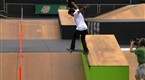 AST Dew Tour: Right Guard Open: Skate Park Final (season 2008, episode 8)