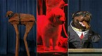 Late Night with Conan O'Brien: Which Late Night Dog is Perfect for the Obamas? (11/20/08)