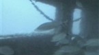 NBC TODAY Show: Old Subway Cars Form New Reefs