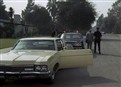 Log #175-Con Artists picture
