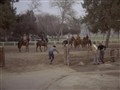 Adam-12 - Log #86-Reason To Run