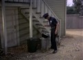 Log #95-Purse Snatcher picture