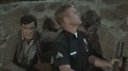 Ambush