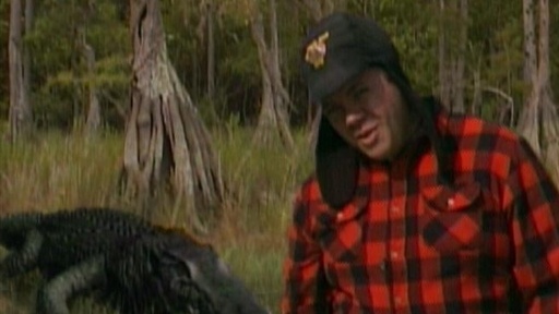 Animal Grappler - Everglades