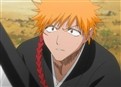 Bleach 42 picture