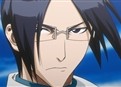 Bleach 28 picture