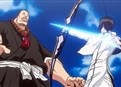 Bleach 29 picture