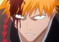 Bleach 31 picture