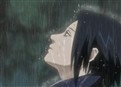 The End of Tears picture