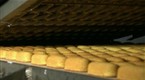 National Geographic Channel: Sweet Tooth