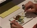 Top Chef - Hamachi Sashimi