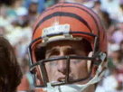 Cincinnati Bengals
