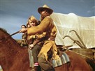 The Young Riders Lady for a Night