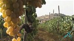 Top 5 Things to See in Lazio, Italy