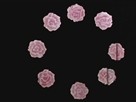 Waltz of the Flowers