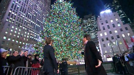 Taking LaBamba To See The Tree