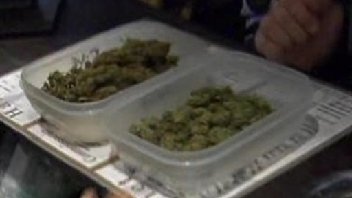 Amsterdam Pot Crackdown