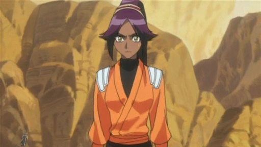 Bleach 48