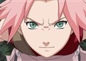 Sakura picture