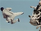 Kung Pow: Enter The Fist Watch the Full Movie!