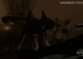 Billy and Lisa – Dog in Butt picture