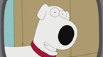 Family Guy: Teen Dramas