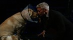 The Daily Show with Jon Stewart: Road to the Doghouse - Puppedential Debate