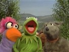 Do-op Hop With Kermit