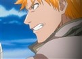 Bleach 55 picture