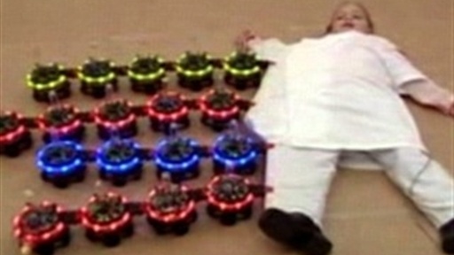 Robot Wives and Swarm Bots