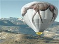 Onion News Network - Man Who Crossed Nation In Balloon Only Wants To Talk About Horse Abuse