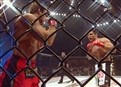 The Frank Shamrock Show picture